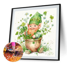Load image into Gallery viewer, Diamond Painting - Full Round - spring goblin (30*30CM)
