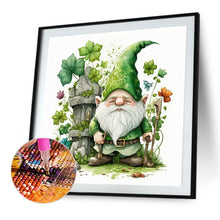 Load image into Gallery viewer, Diamond Painting - Full Round - spring goblin (30*30CM)
