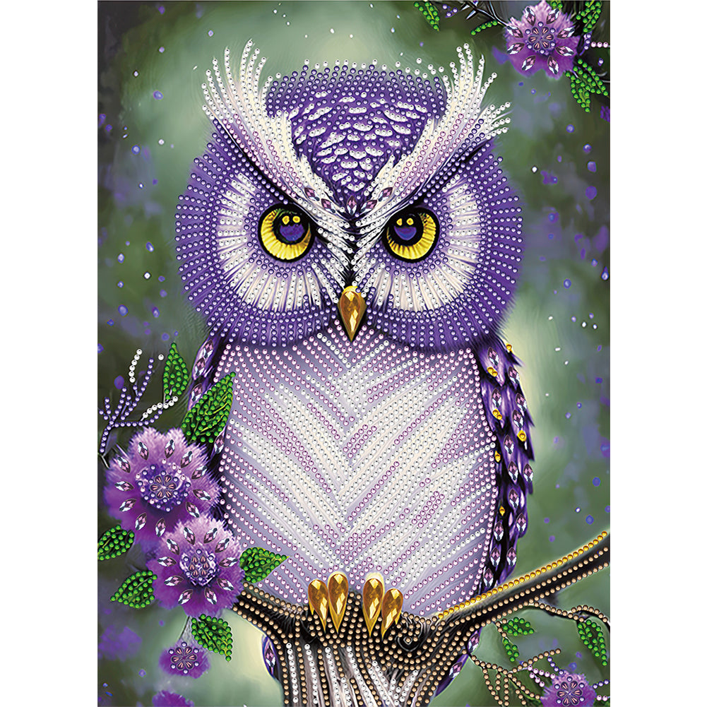 Diamond Painting - Partial Special Shaped - personality owl (30*40CM)