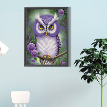 Load image into Gallery viewer, Diamond Painting - Partial Special Shaped - personality owl (30*40CM)
