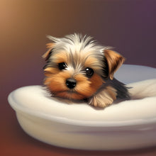 Load image into Gallery viewer, Diamond Painting - Full Round - yorkshire terrier (30*30CM)
