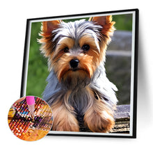 Load image into Gallery viewer, Diamond Painting - Full Round - yorkshire terrier (30*30CM)
