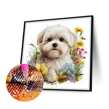 Load image into Gallery viewer, Diamond Painting - Full Round - white puppy (30*30CM)
