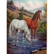 Load image into Gallery viewer, Diamond Painting - Full Round - horse (30*40CM)
