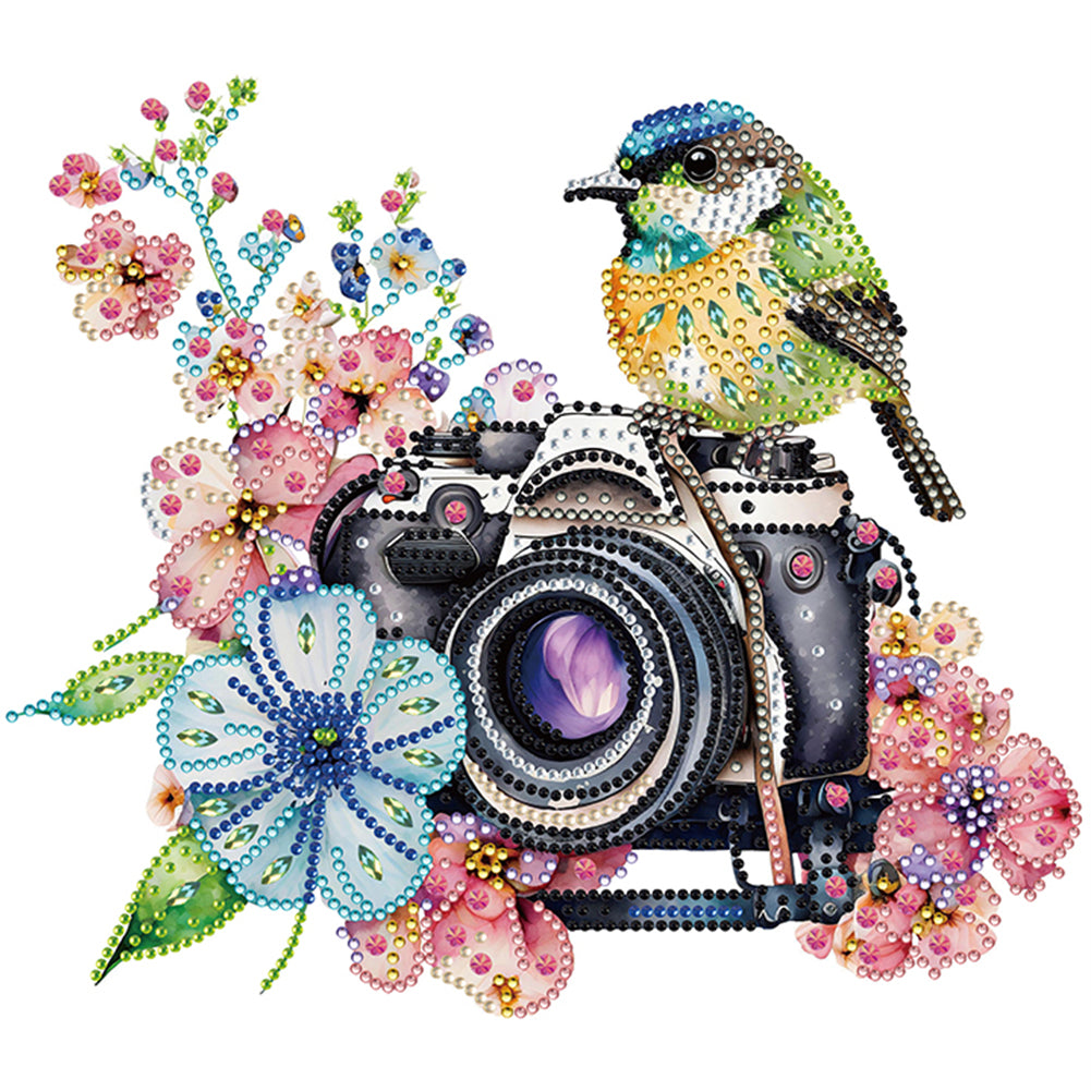 Diamond Painting - Partial Special Shaped - camera and bird (30*30CM)