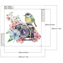 Load image into Gallery viewer, Diamond Painting - Partial Special Shaped - camera and bird (30*30CM)
