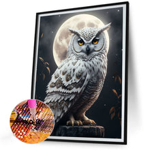 Load image into Gallery viewer, Diamond Painting - Full Round - owl (30*40CM)
