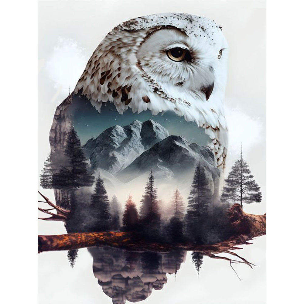 Diamond Painting - Full Round - owl (30*40CM)