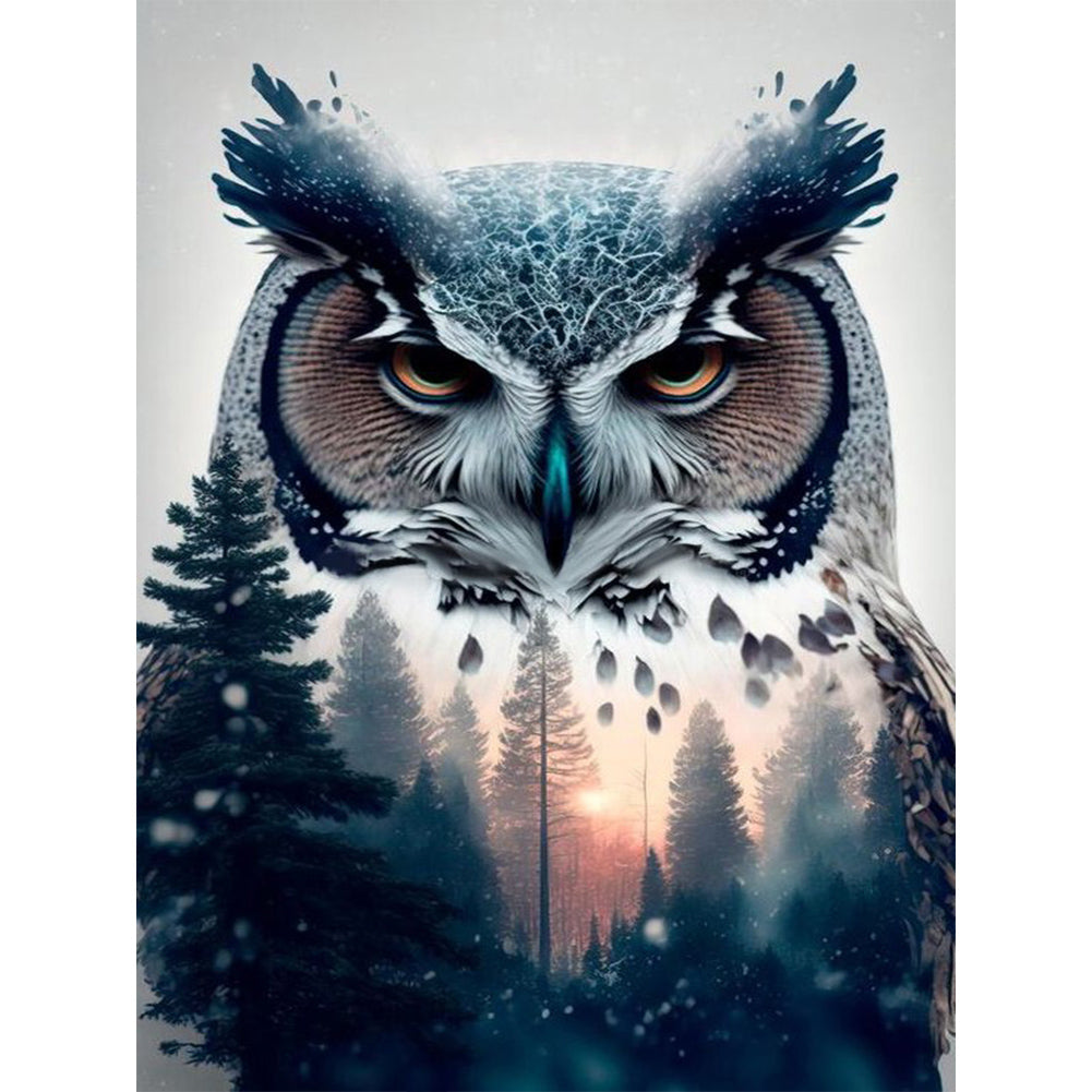 Diamond Painting - Full Round - owl (30*40CM)