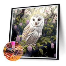 Load image into Gallery viewer, Diamond Painting - Full Round - owl (30*30CM)
