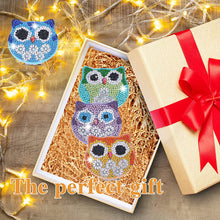 Load image into Gallery viewer, DIY Crystal Diamond Mirror Portable Paint by Number Kits for Girl (088)
