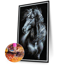 Load image into Gallery viewer, Diamond Painting - Full Round - Mosaic black and white horse (40*70CM)
