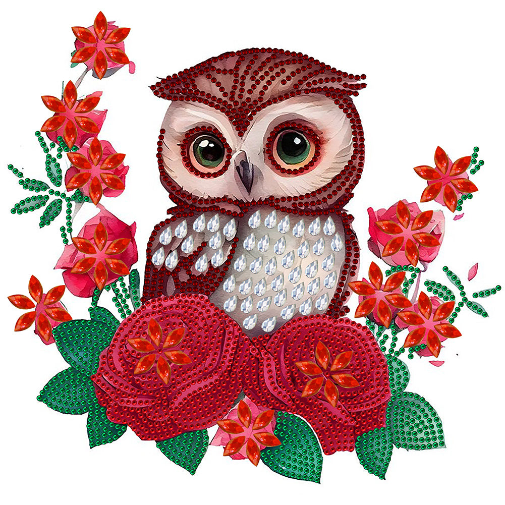 Diamond Painting - Partial Special Shaped - owl with flowers (30*30CM)