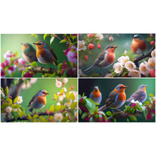Load image into Gallery viewer, Diamond Painting - Full Square - Robin (70*40CM)
