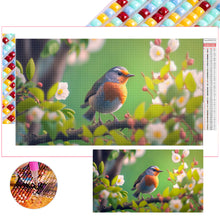 Load image into Gallery viewer, Diamond Painting - Full Square - Robin (70*40CM)
