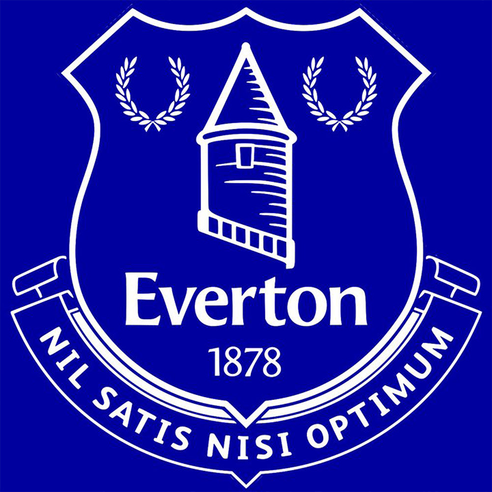 Diamond Painting - Full Round - everton football club (40*40CM)