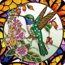 Load image into Gallery viewer, Diamond Painting - Partial Special Shaped - Hummingbird Glass Art (30*30CM)
