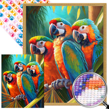 Load image into Gallery viewer, AB Diamond Painting - Full Round - three parrots (40*50CM)
