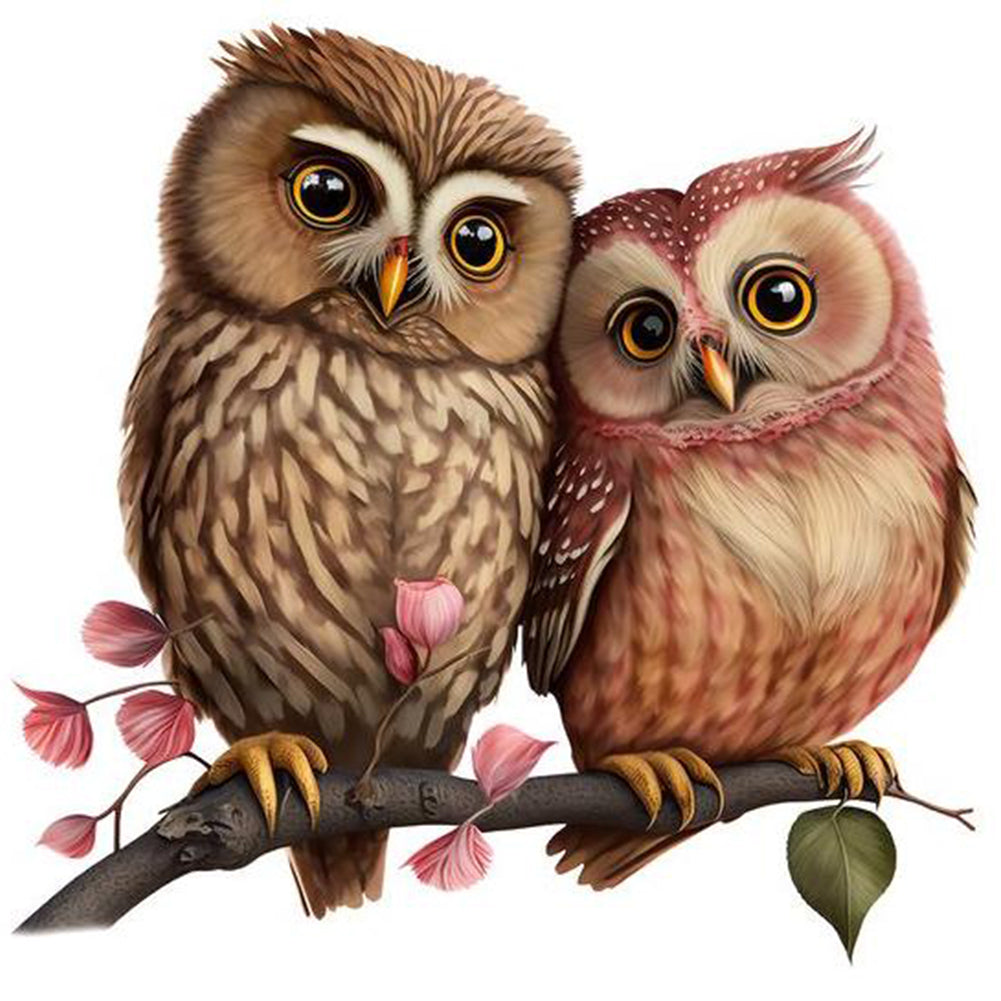 Diamond Painting - Full Round - owl (30*30CM)