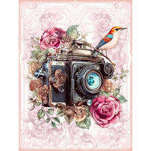 Load image into Gallery viewer, Diamond Painting - Full Round -bird and camera (30*40CM)
