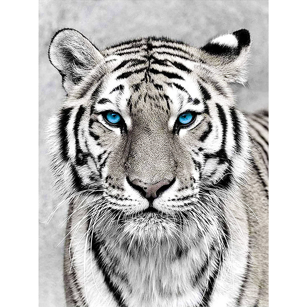 Diamond Painting - Full Round -tiger (30*40CM)