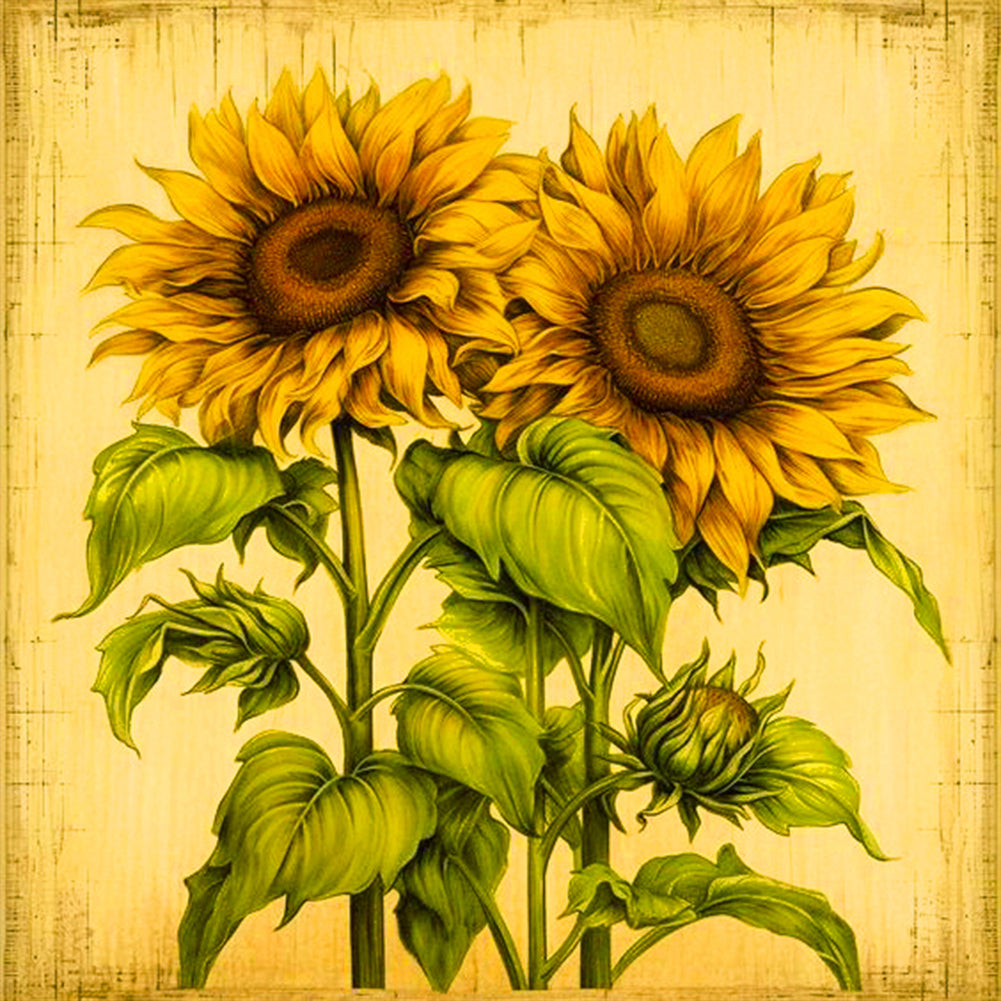 Diamond Painting - Full Round -two bunches of sunflowers (30*30CM)