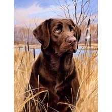 Load image into Gallery viewer, Diamond Painting - Full Round - lawn puppy (30*40CM)
