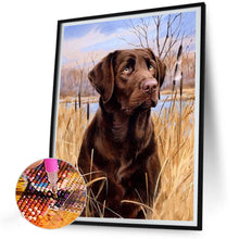 Load image into Gallery viewer, Diamond Painting - Full Round - lawn puppy (30*40CM)
