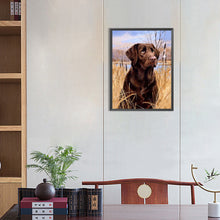 Load image into Gallery viewer, Diamond Painting - Full Round - lawn puppy (30*40CM)
