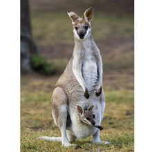 Load image into Gallery viewer, Diamond Painting - Full Round - parent-child kangaroo (30*40CM)
