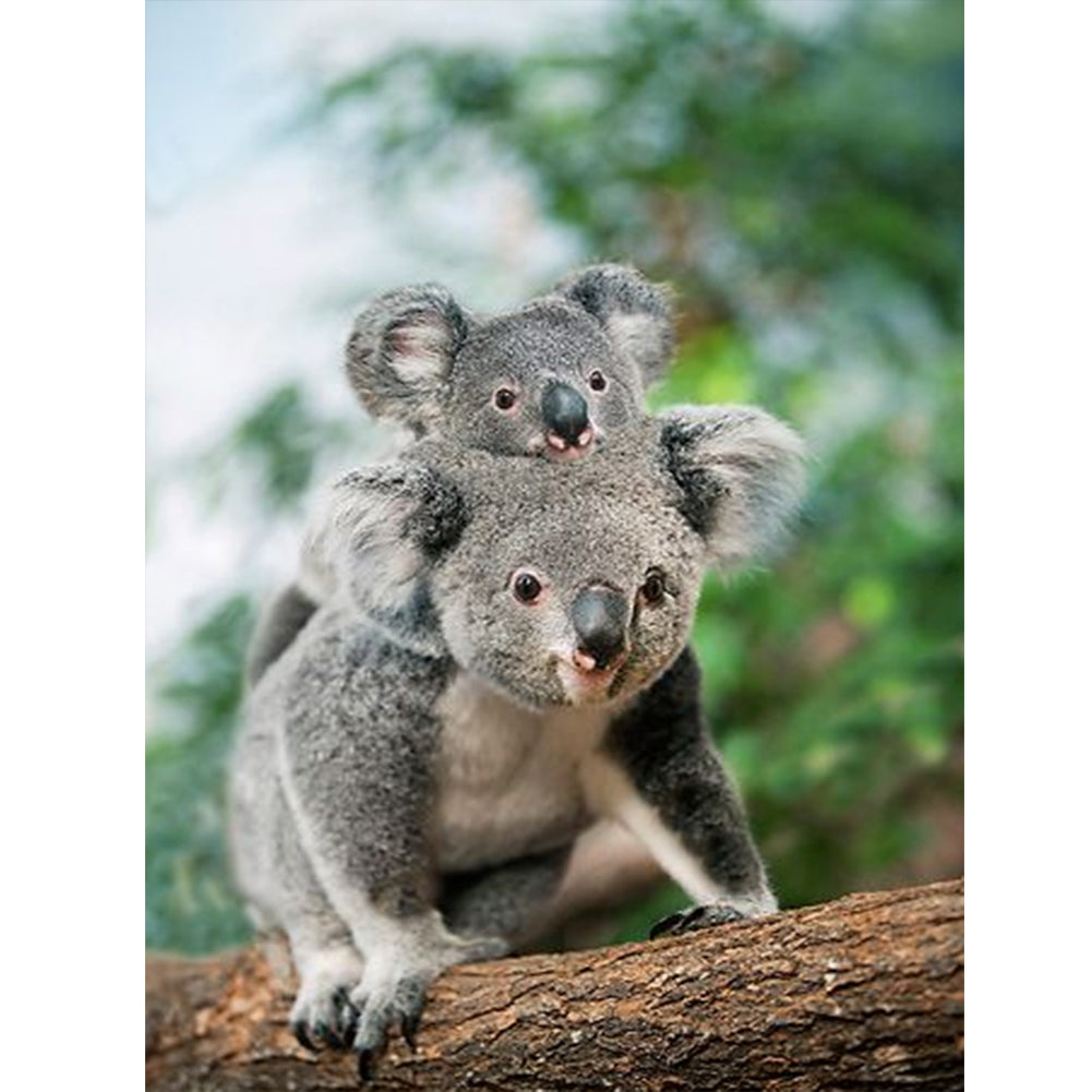Diamond Painting - Full Round - parent-child koala (30*40CM)