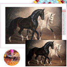 Load image into Gallery viewer, Diamond Painting - Full Square -black horse white horse (70*45CM)
