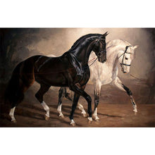 Load image into Gallery viewer, Diamond Painting - Full Square -black horse white horse (70*45CM)
