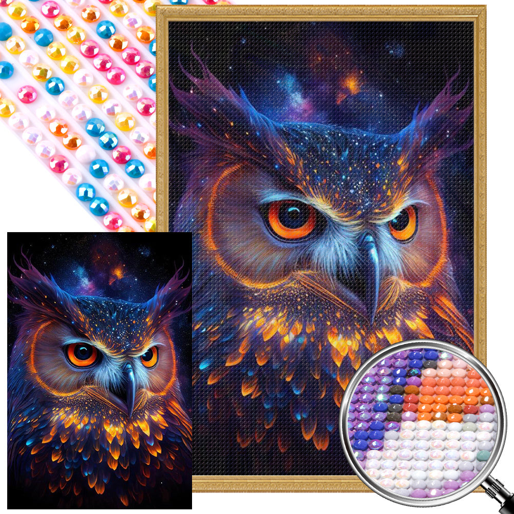 AB Diamond Painting - Full Round -night owl (40*60CM)