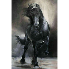 Load image into Gallery viewer, Diamond Painting - Full Square - black and white galloping horse (40*60CM)
