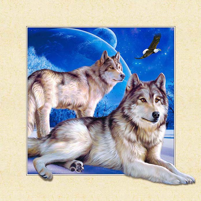 AB Diamond Painting - Full Round - Animals Wolf (40*40cm)