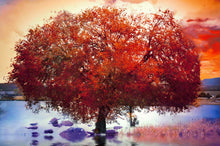 Load image into Gallery viewer, Diamond Painting - Full Square - Maple Tree (30*40CM)
