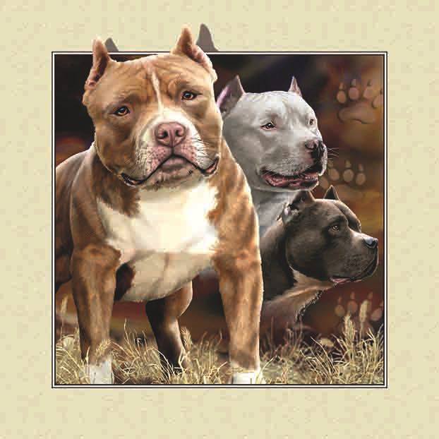 AB Diamond Painting - Full Round - Animal Dog (40*40cm)