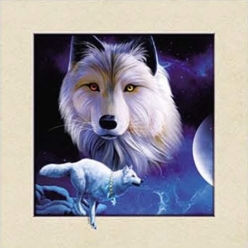 AB Diamond Painting - Full Round - Animals Wolf (40*40cm)