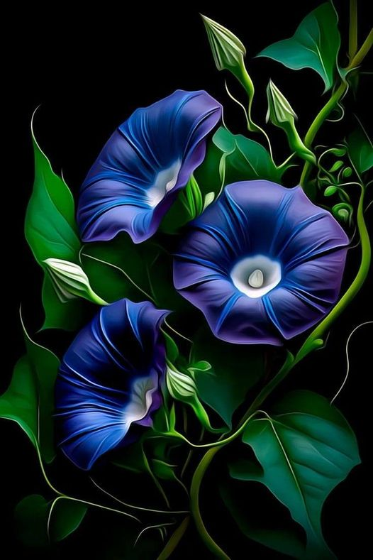 AB Diamond Painting - Full Round - Blue Flower (40*60cm)