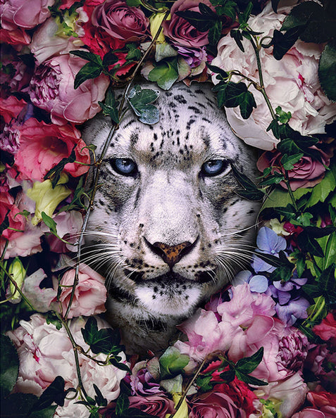 Diamond Painting - Full Round - tiger and flower (30*50CM)