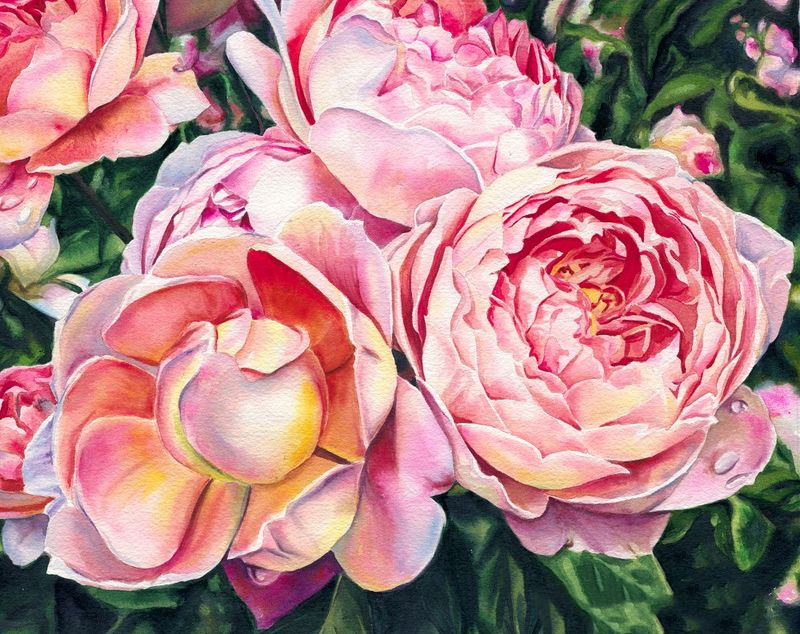 AB Diamond Painting - Full Round - Pink Roses (40*50cm)
