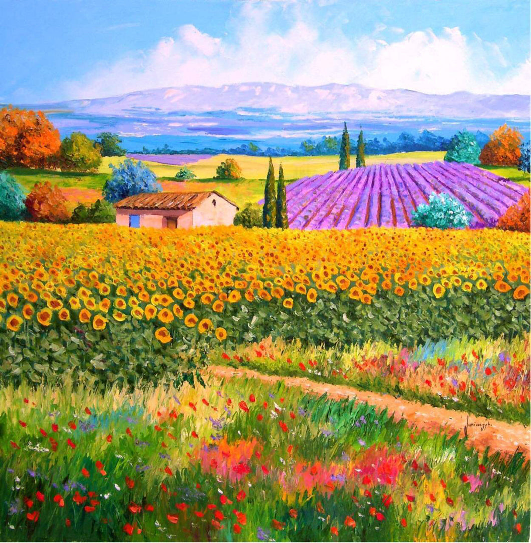 AB Diamond Painting - Full Round - Colorful Garden (40*40cm)