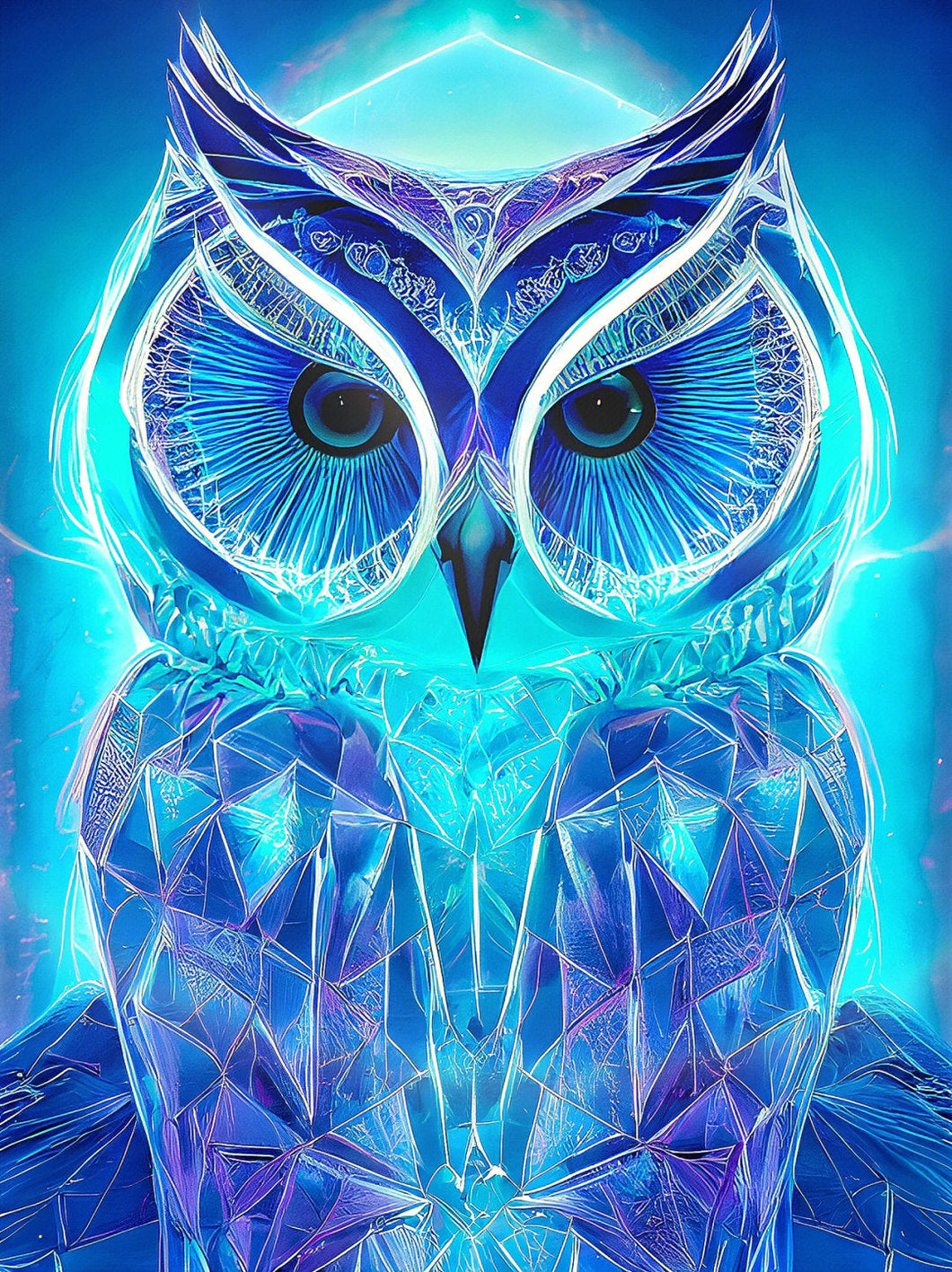 AB Diamond Painting - Full Round - Cool Owl (40*53cm)
