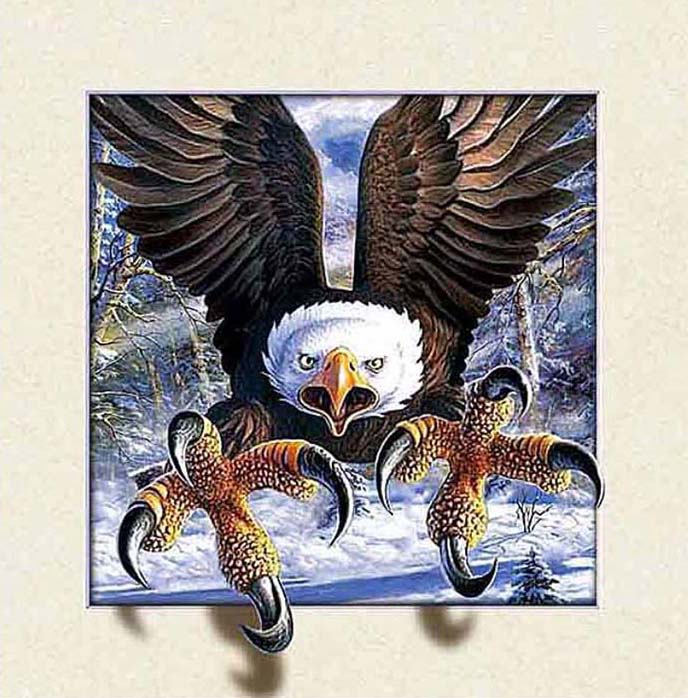 AB Diamond Painting - Full Round - Animals Eagle (40*40cm)